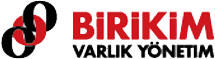 Birikim Varlık Yönetim Logo